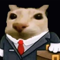 CAT INTERN / MSFT