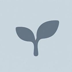 LEAF / WETH
