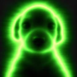 PUPTOBER