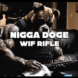 NiggaDoge