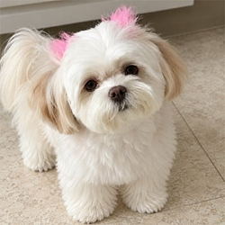 WINNIE