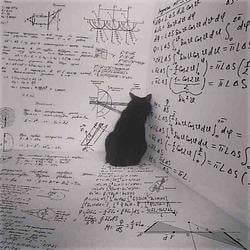 mcat