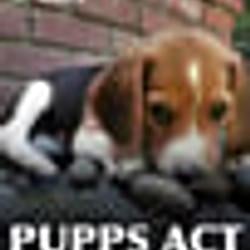 PUPPS