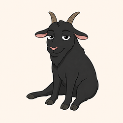 CASHBULL / SOL