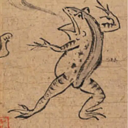 kaeru