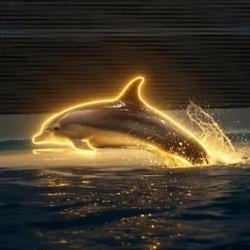 Dolphin