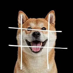HASHDOG