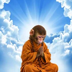 monke