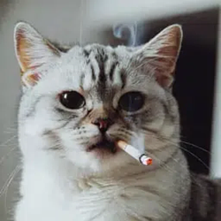 chainsmoker