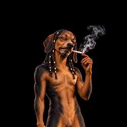 SNOOP DOGE