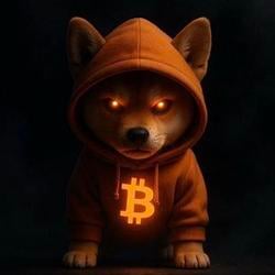 BTCINU