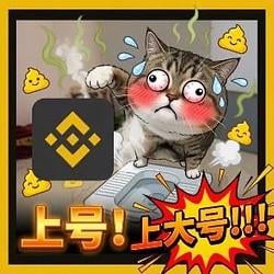上号上大号 / BNB