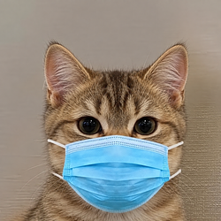 CATWM