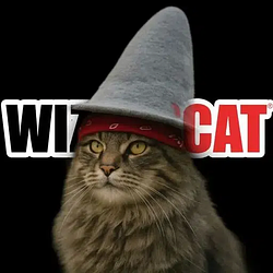 WizardKitty / SOL