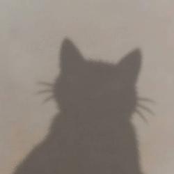 ㅤㅤㅤ / SOL