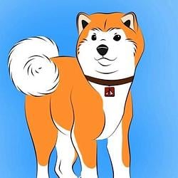 HACHIKO