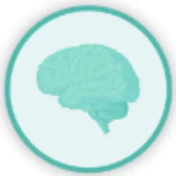 SpikingBrain