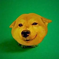 coinu