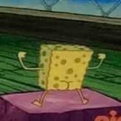 Spongebut