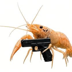 ShrimpGun