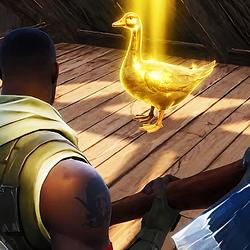 goose
