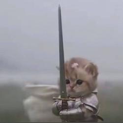 S-Cat