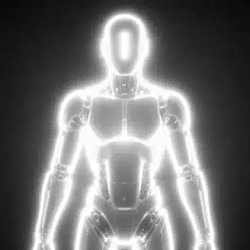 Organoid / SOL