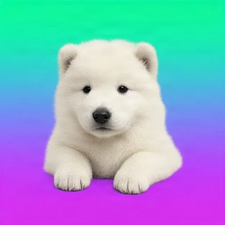 KAI