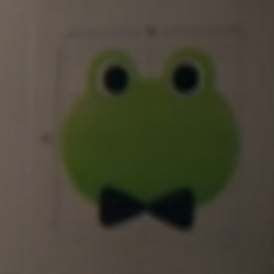 frog
