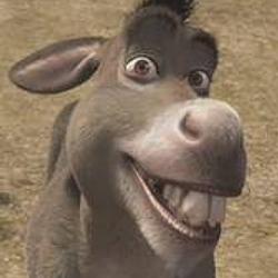 donkeydev