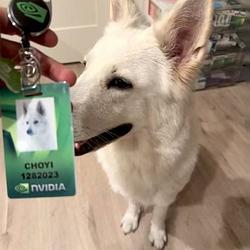CHOYI