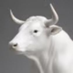 BULL