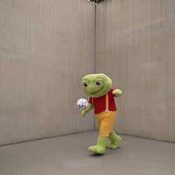 TOAD