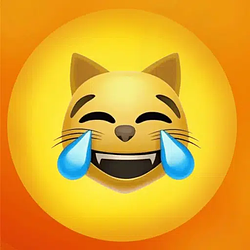 lmeow / SOL