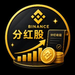 分红股 / BNB