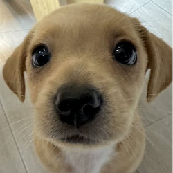 billy