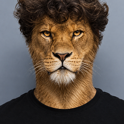 JACKLION