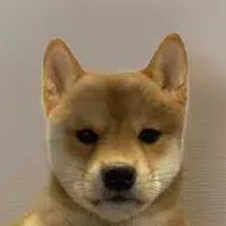 Inu