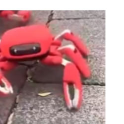 Crabot