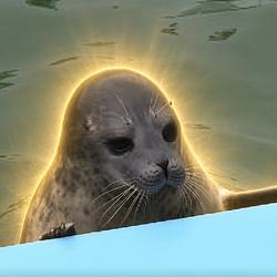 月