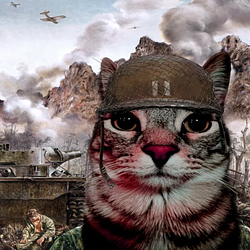 TrenchCat