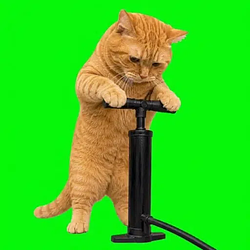Pumpcat