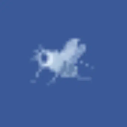 FLYBOOK / GOOGL