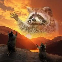Doge / SOL