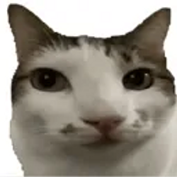 nomcat