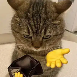 pay