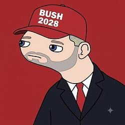 Bush / SOL