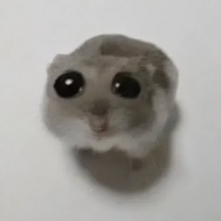 HAMMY