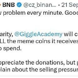 BNBANGERS100 / BNB