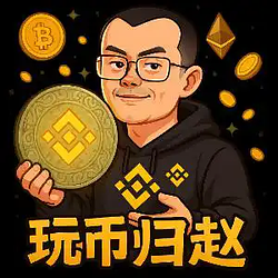 玩币归赵 / BNB